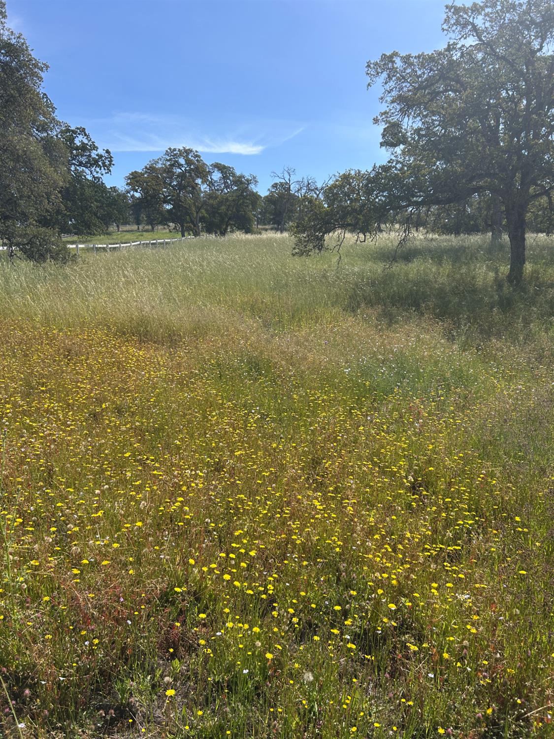 0 Matthew Road Wheatland, CA 95692 - Photo 5 of 15 a view of a lake from a yard