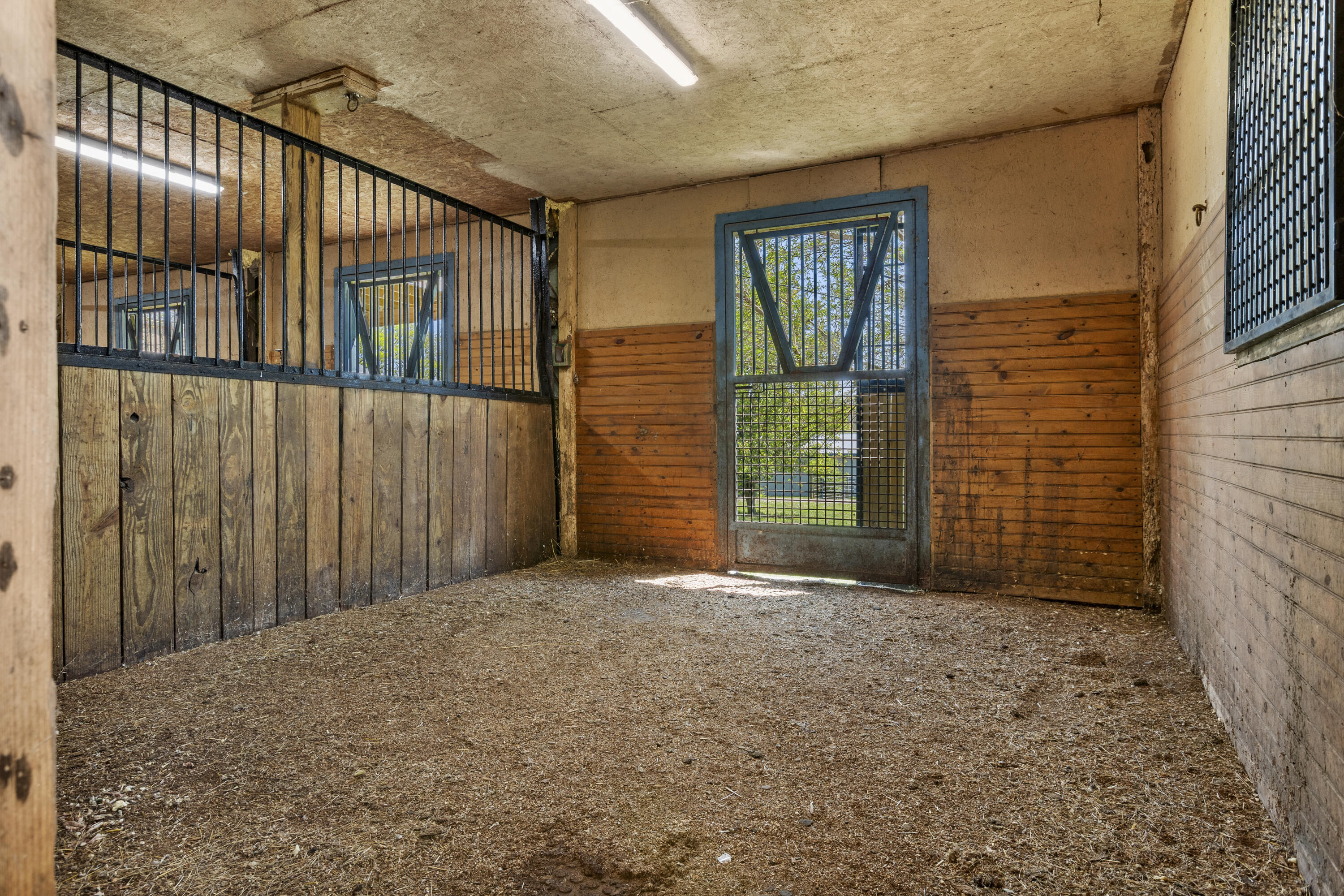 583 College Road Paris, KY 40361 - Photo 25 of 39 I82A9063