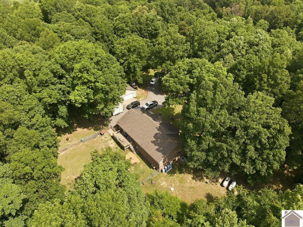 303 Hico Road Murray, KY 42071 - Photo 42 of 49 Photo 42