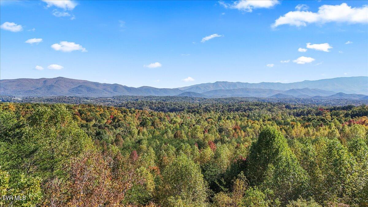 1310 Finchum Road Newport, TN 37821 - Photo 41 of 51 41-DJI_20241022151750_0235_D