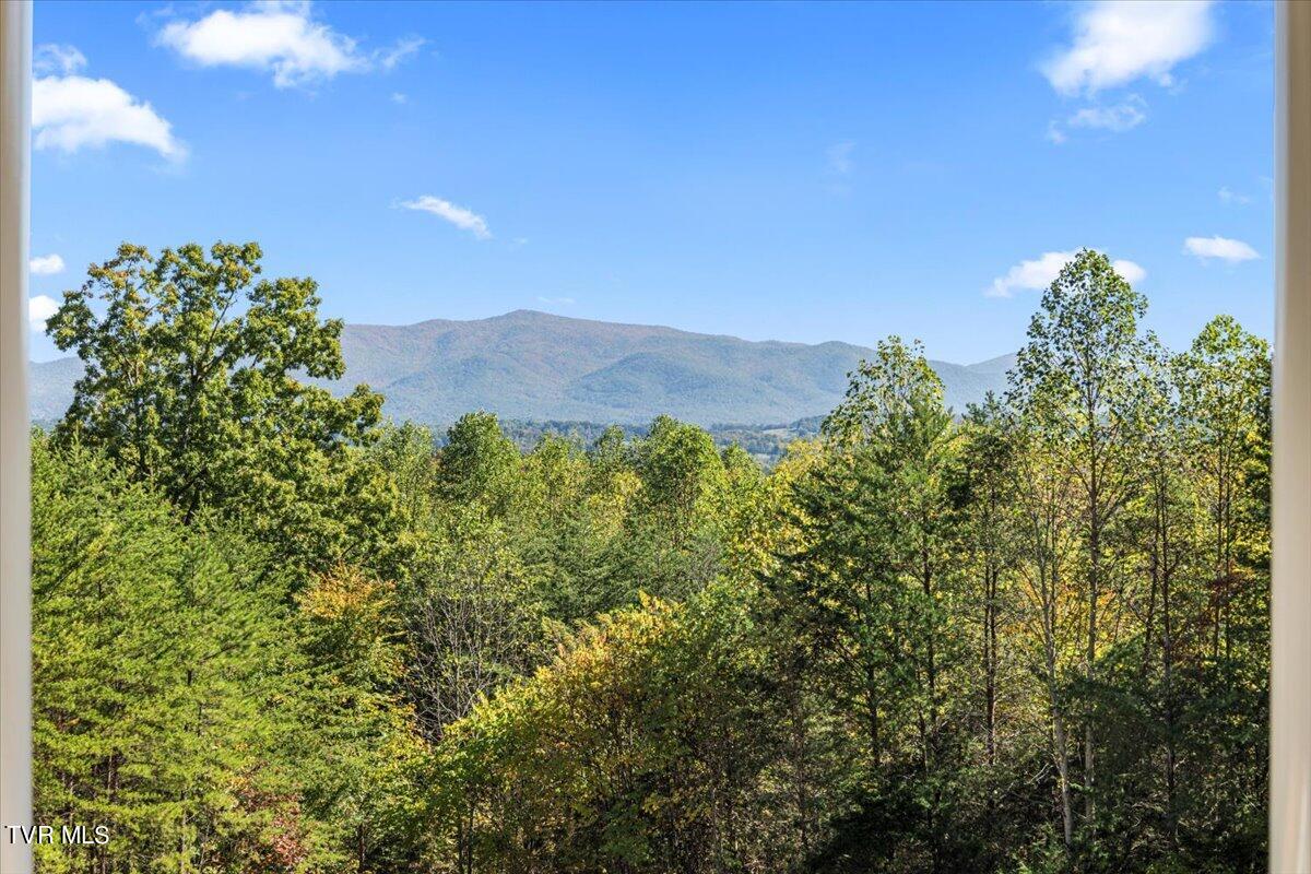 1310 Finchum Road Newport, TN 37821 - Photo 47 of 51 49-128A3802
