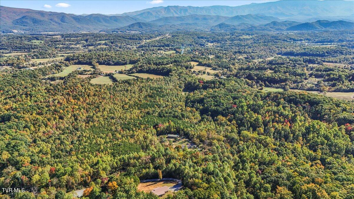 1310 Finchum Road Newport, TN 37821 - Photo 49 of 51 51-DJI_20241022152230_0263_D