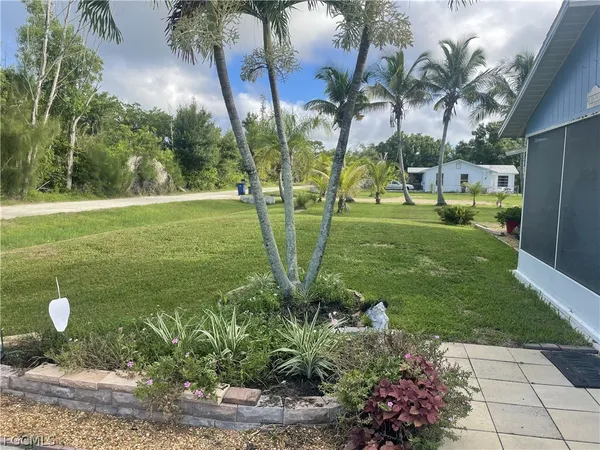 a view of a garden