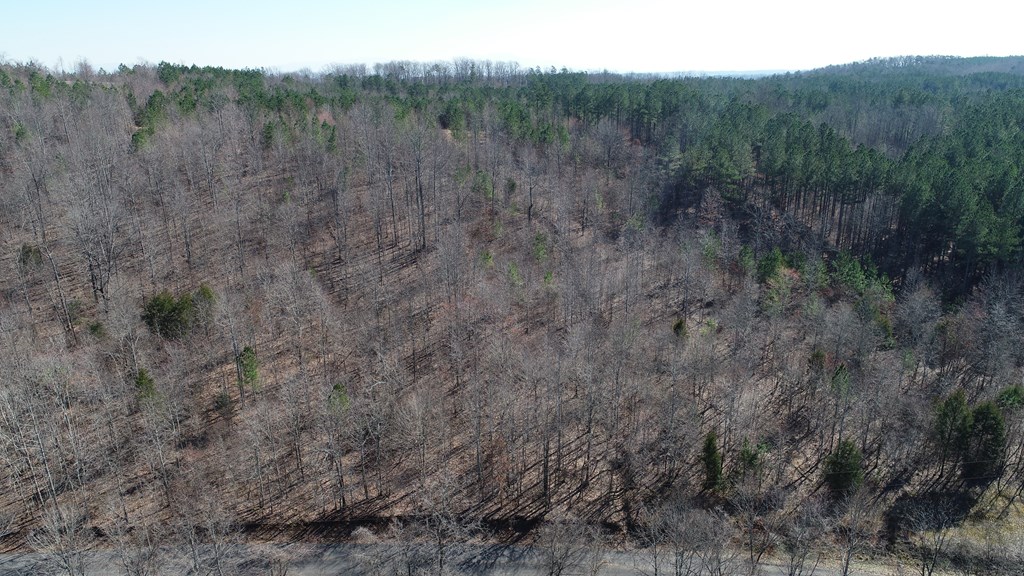 5 Parrot Road, Unit TRACT 5 Cohutta, GA 30710 - Photo 10 of 13