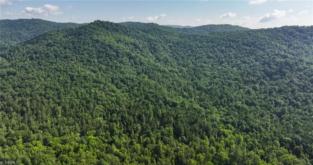 0 Boone Trail Purlear, NC 28665 - Photo 35 of 40 Gallery Image 35
