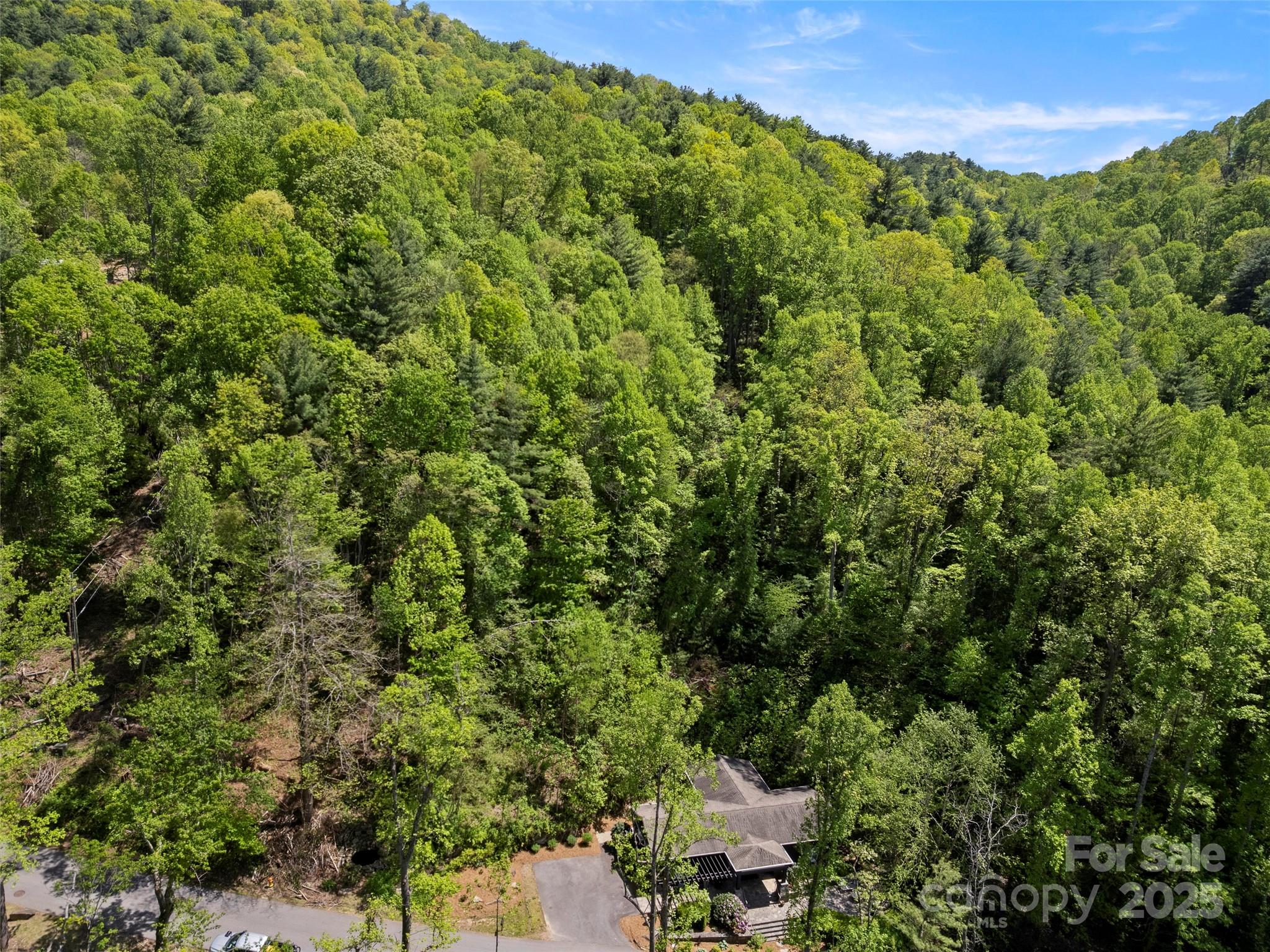 403 Baird Cove Road Asheville, NC 28804 - Photo 19 of 23