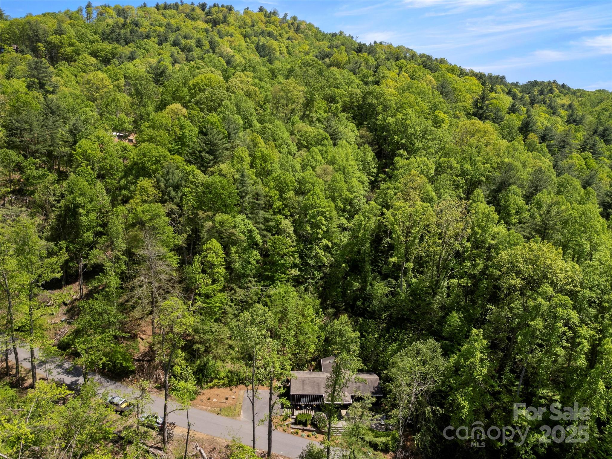 403 Baird Cove Road Asheville, NC 28804 - Photo 20 of 23
