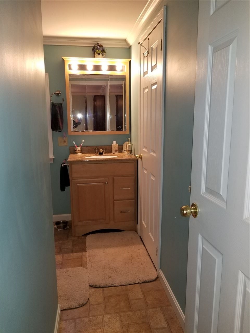 21 Roger Road Goffstown, NH 03045 - Photo 11 of 26