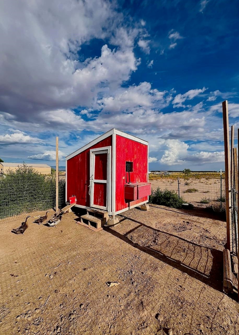290 Tulie Gate Road Tularosa, NM 88352 - Photo 29 of 29 Gallery Image 29