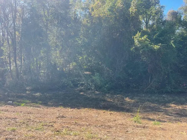 $21,000 | 84 Ashford Al, Ashford, AL 36312