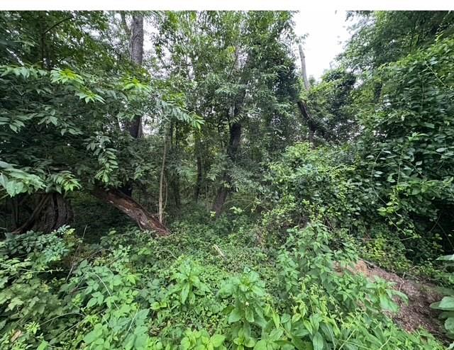 0 Peairs Road Elizabeth, PA 15037 - Photo 2 of 2 a view of a forest with a tree