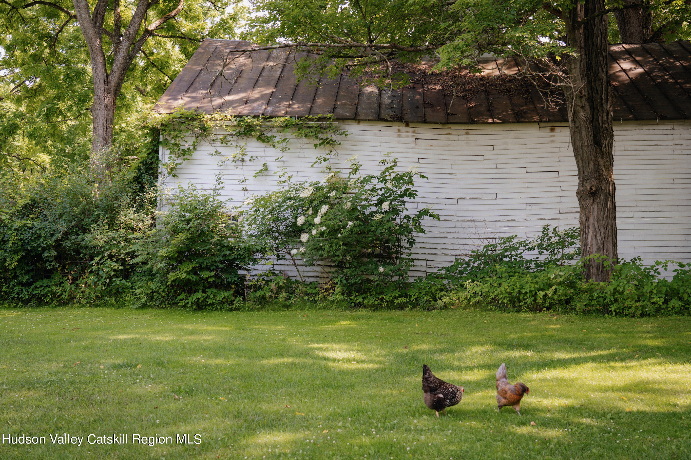 164 River Street Middleburgh, NY 12122 - Photo 42 of 48 a view of backyard with swimming pool