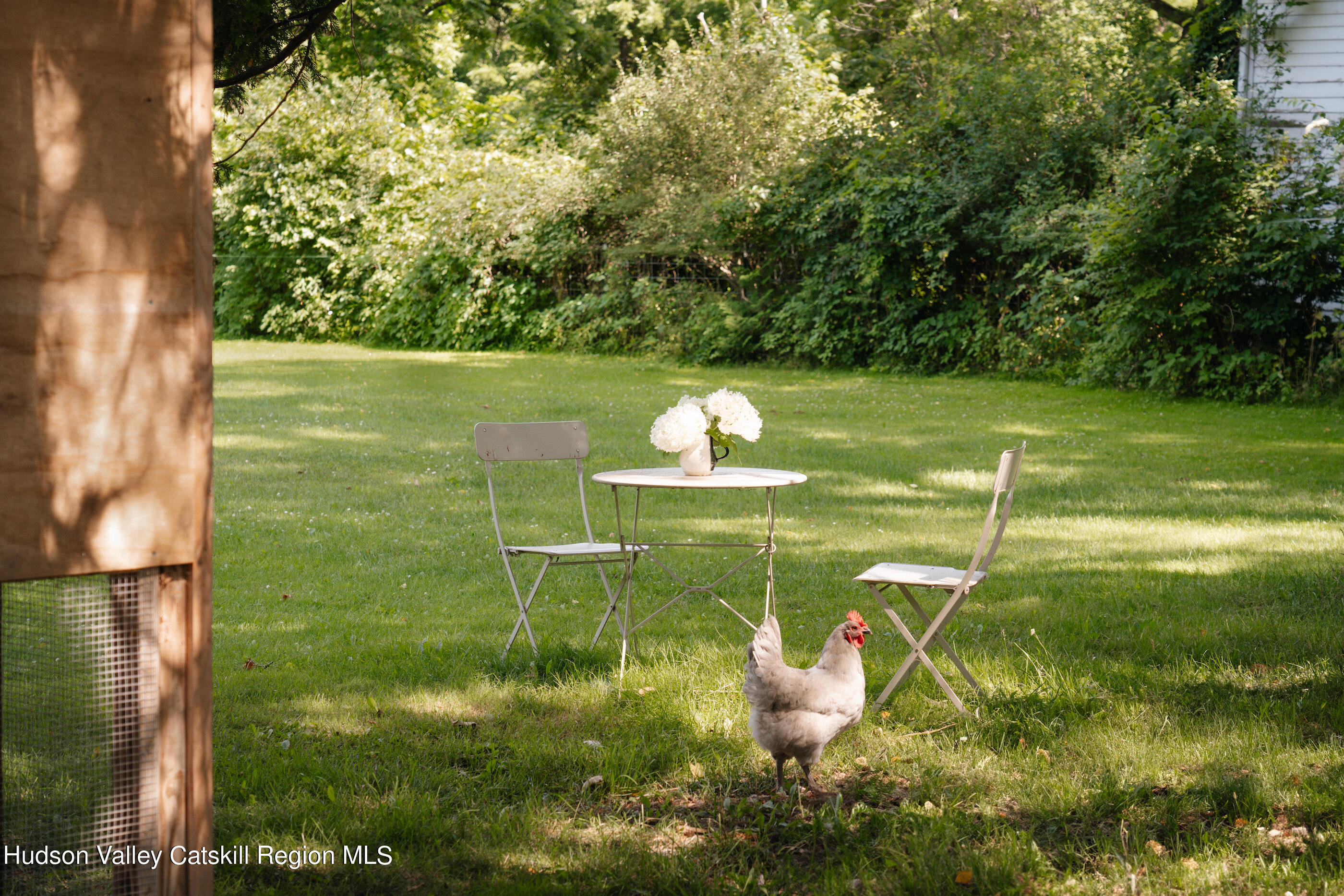 164 River Street Middleburgh, NY 12122 - Photo 5 of 48 a view of a lake from a yard