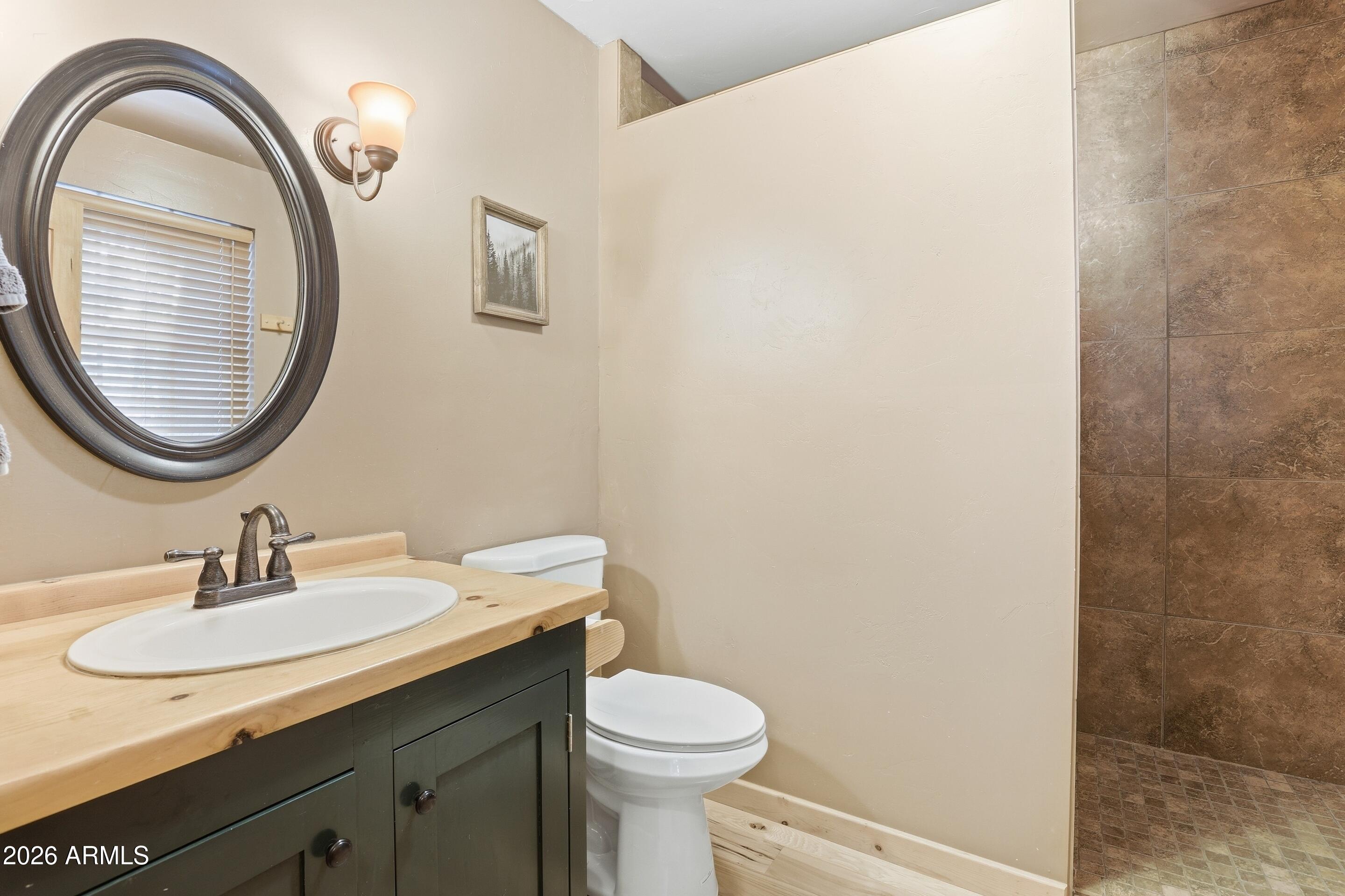 6322 Sharyn Road Pine, AZ 85544 - Photo 18 of 37 a bathroom with a sink and a mirror