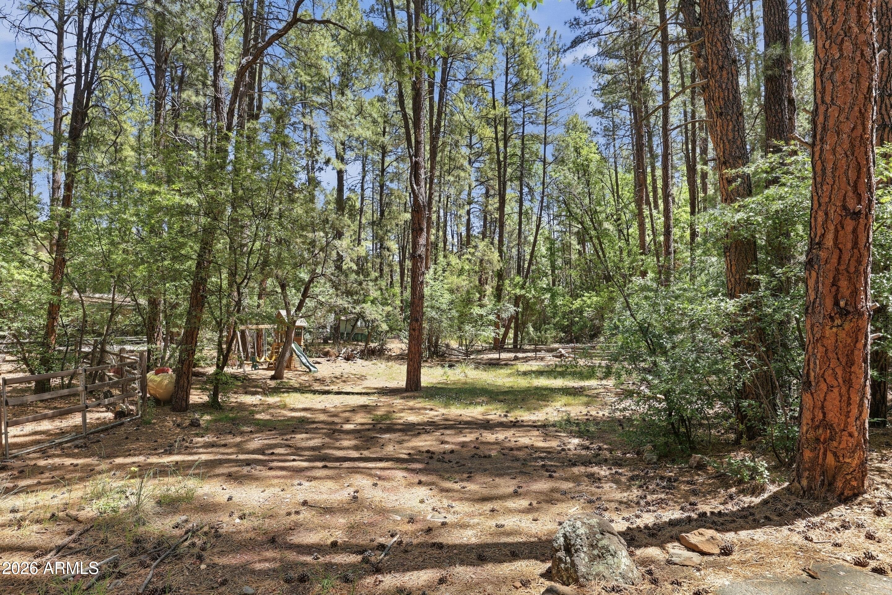 6322 Sharyn Road Pine, AZ 85544 - Photo 32 of 37 a view of a yard with plants and trees