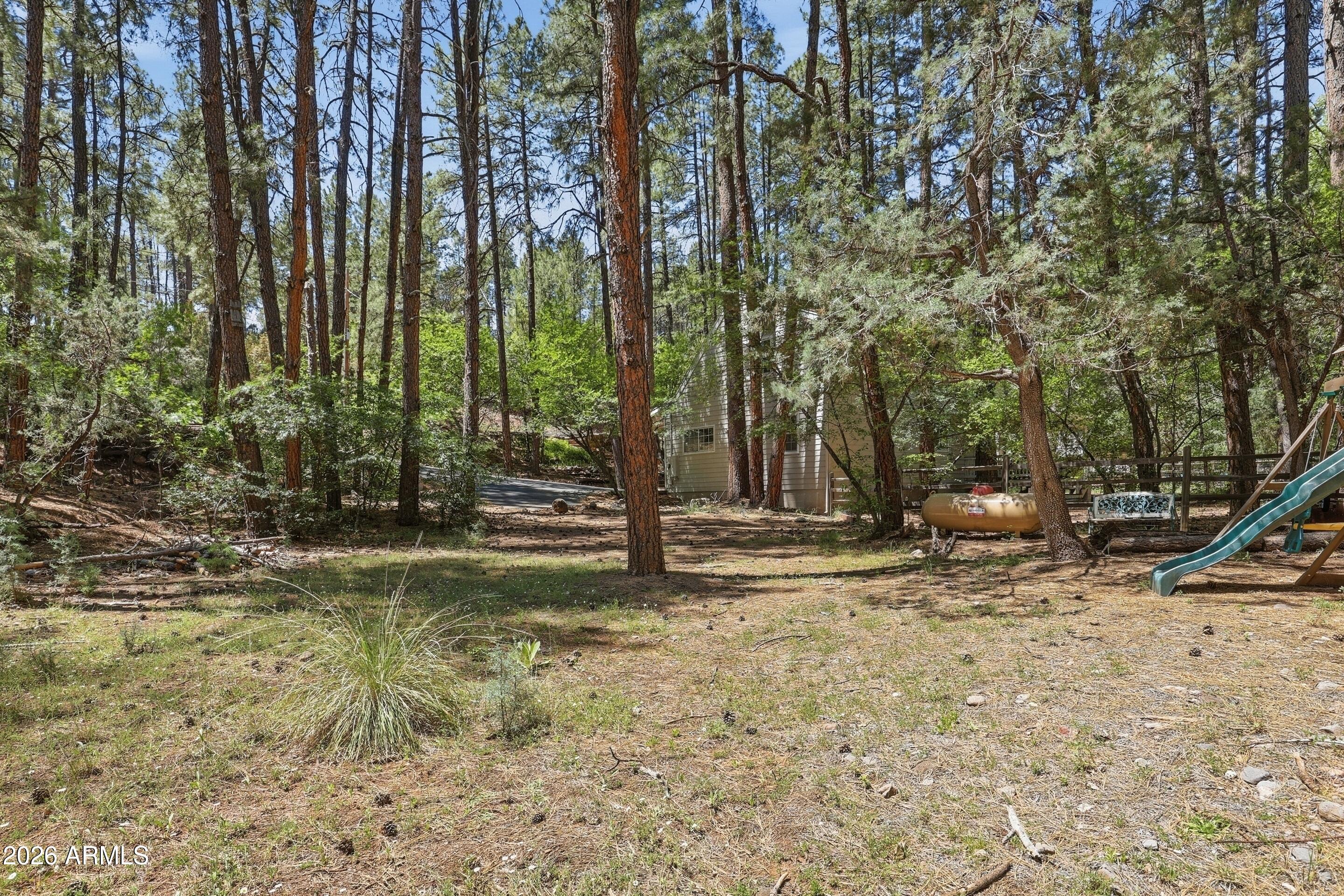6322 Sharyn Road Pine, AZ 85544 - Photo 34 of 37 a view of a tree in the middle of a yard