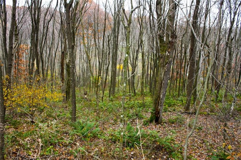 Lot 7 West Cruikshank Road Butler, PA 16002 - Photo 6 of 7