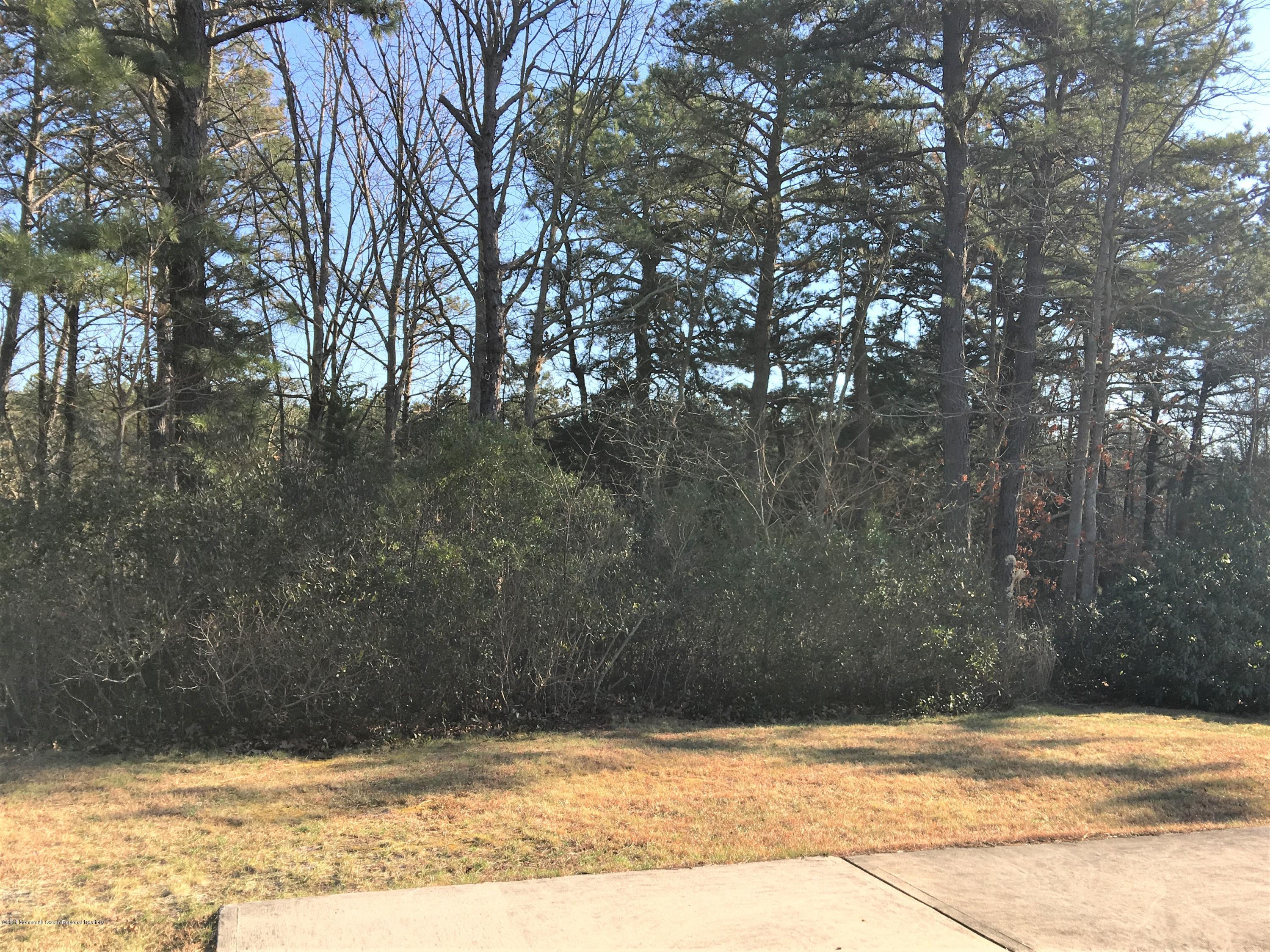 34 Berkshire Road, Unit 65 Whiting, NJ 08759 - Photo 2 of 16 backyard