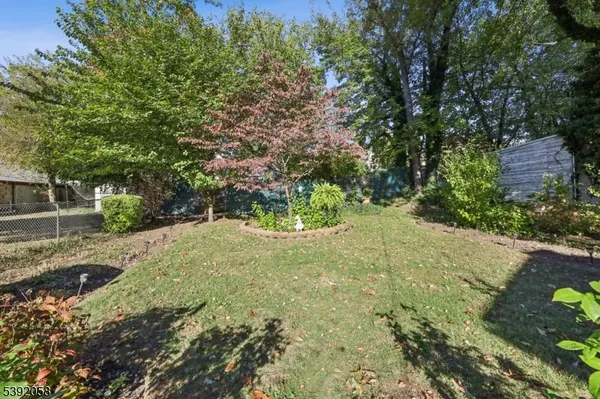 a view of a yard with plants and large trees