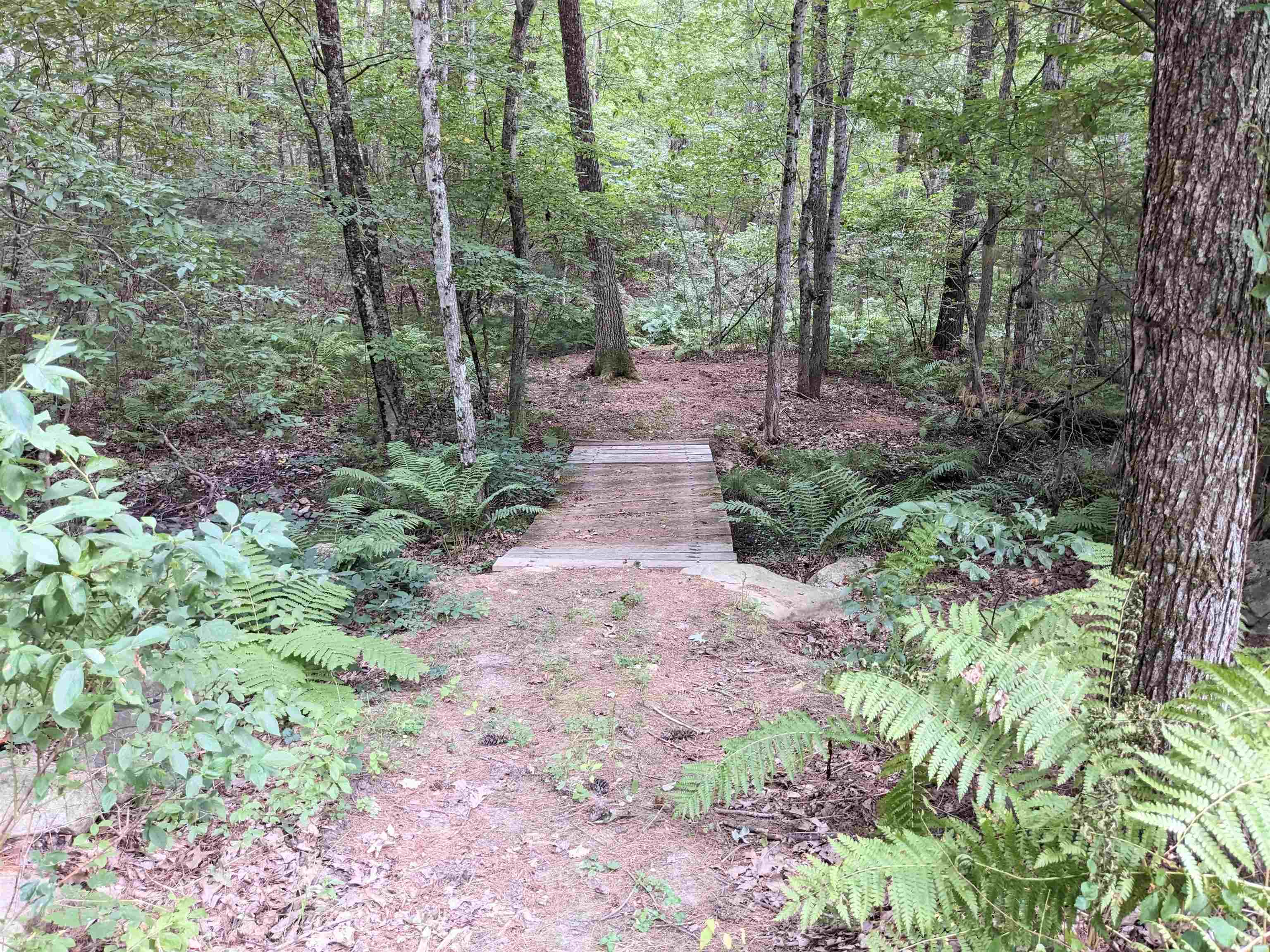 155 Chase Road South Hampton, NH 03827 - Photo 4 of 39