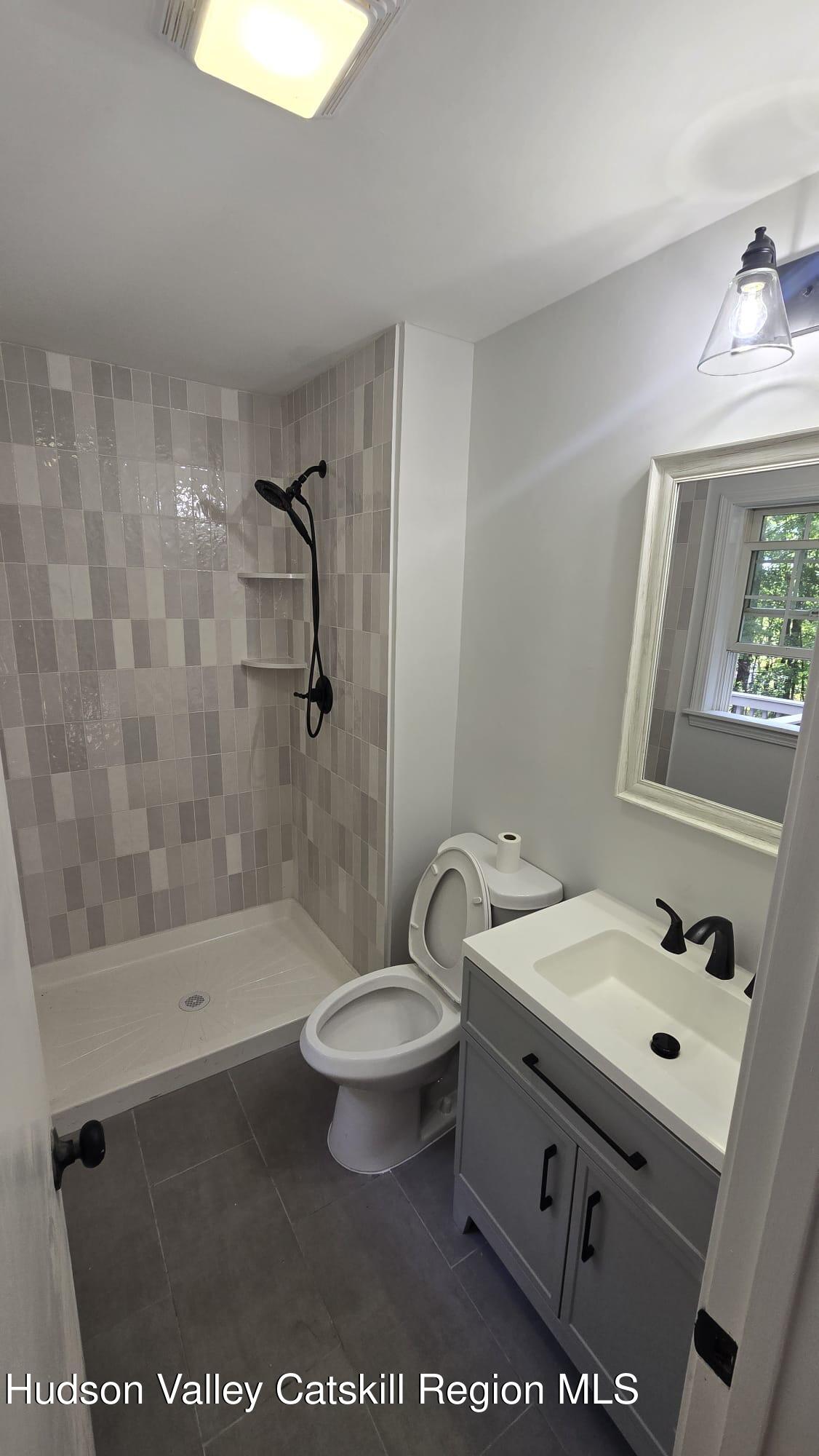 1321 Sleepy Hollow Road Athens, NY 12015 - Photo 10 of 10 a bathroom with a sink a toilet and shower