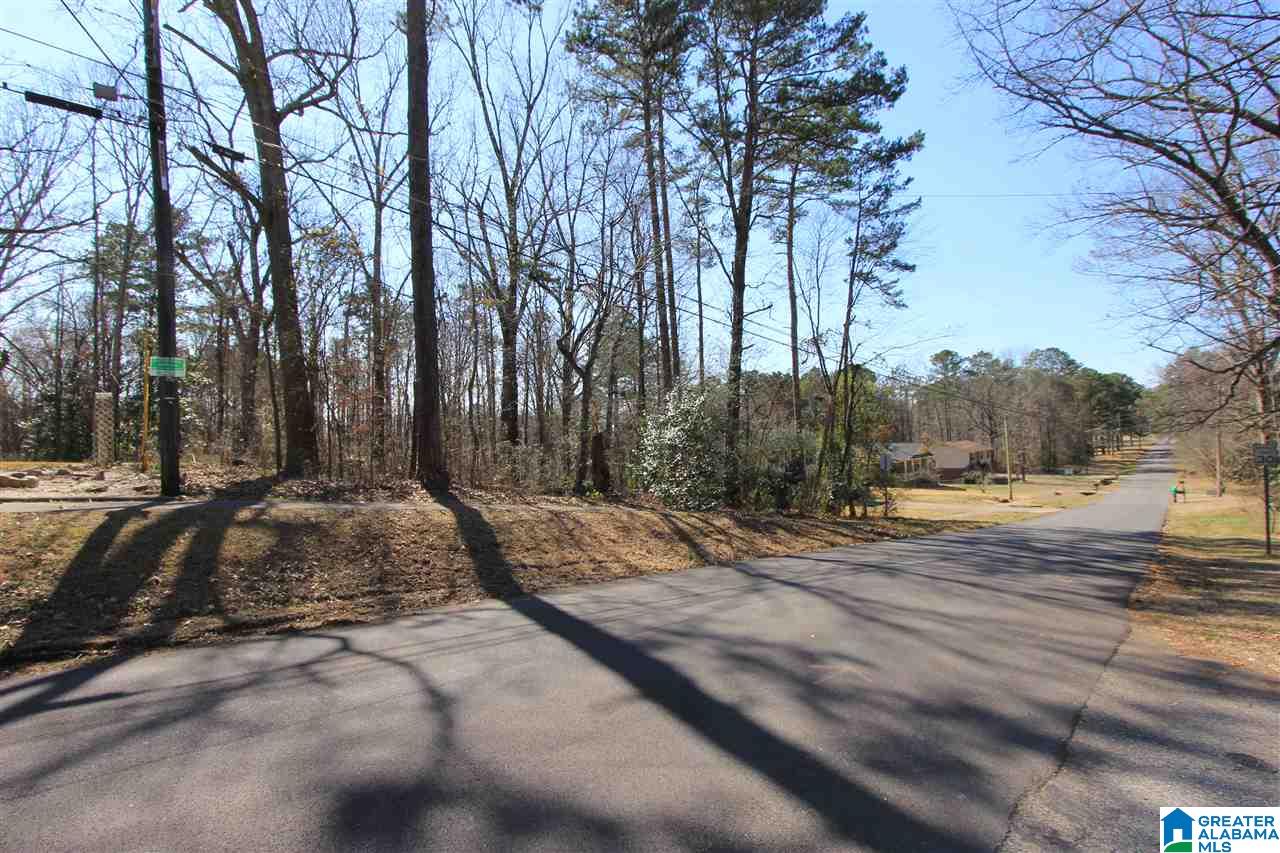 0 Spring Valley Road, Unit 9 Anniston, AL 36207 - Photo 9 of 10
