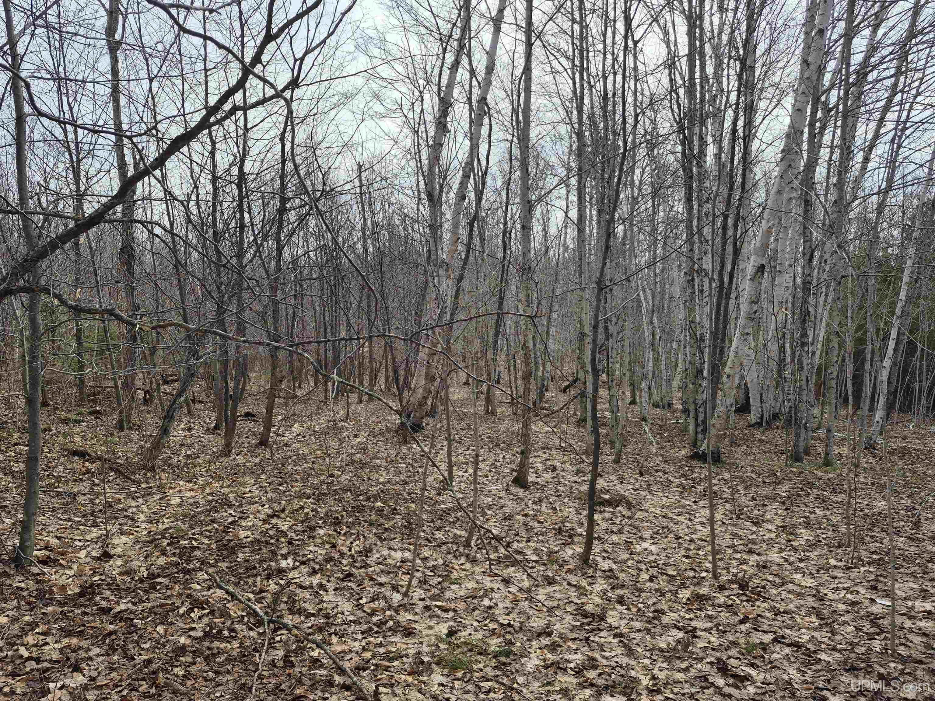 East 20 Quarry Road Gulliver, MI 49840 - Photo 20 of 47