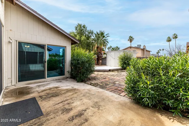 a view of a yard with a tree