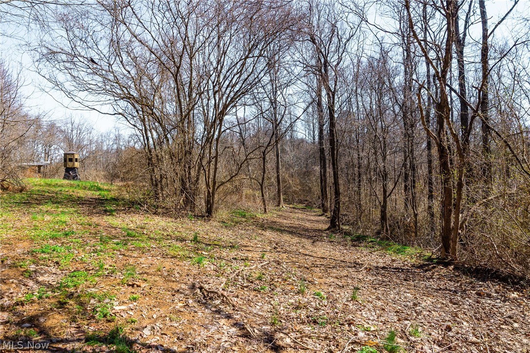 Sheepskin Ridge Road Lower Salem, OH 45745 - Photo 6 of 50 View of nature