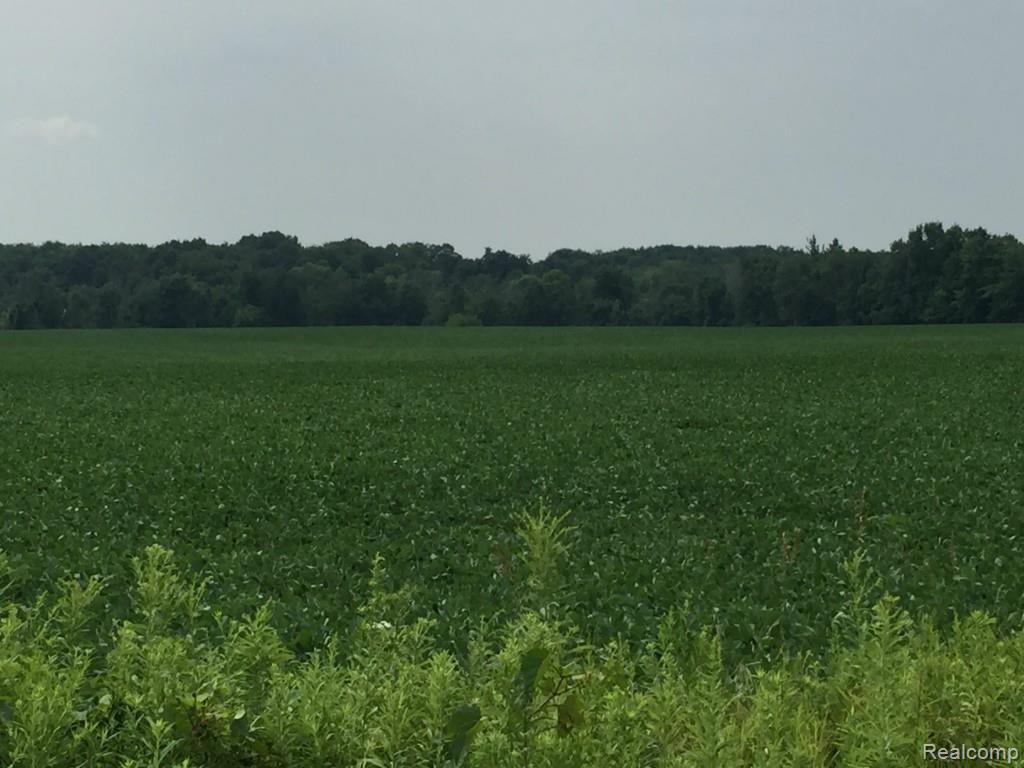 0 Wilkes Road Yale, MI 48097 - Photo 3 of 7
