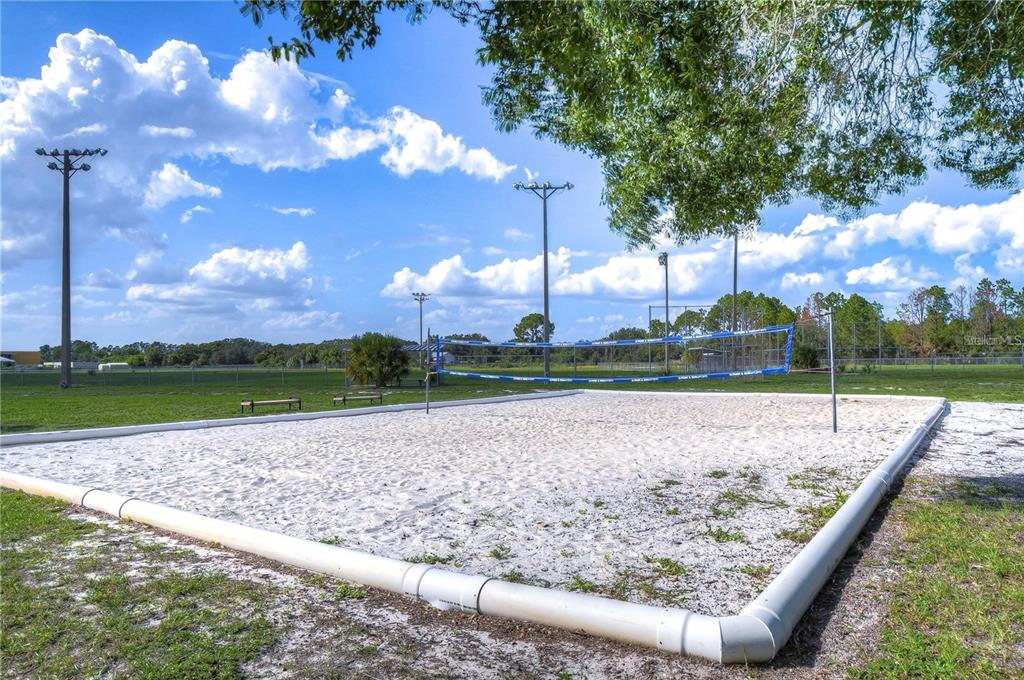 11826 Dumaine Valley Road Riverview, FL 33579 - Photo 49 of 54 a view of a backyard