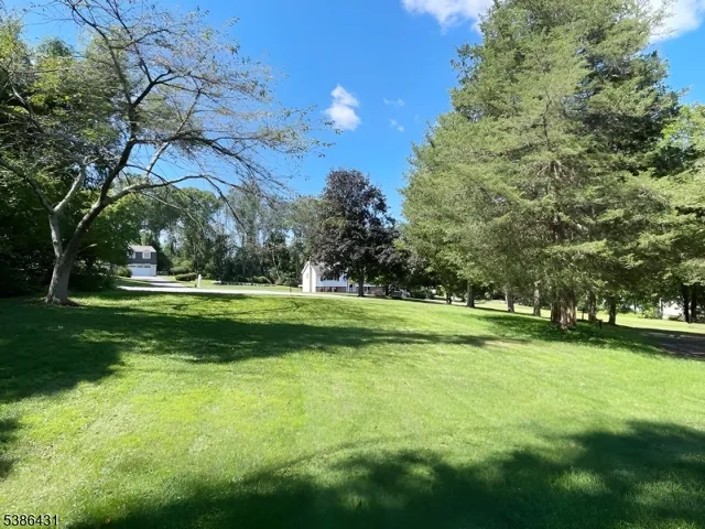 a view of a park