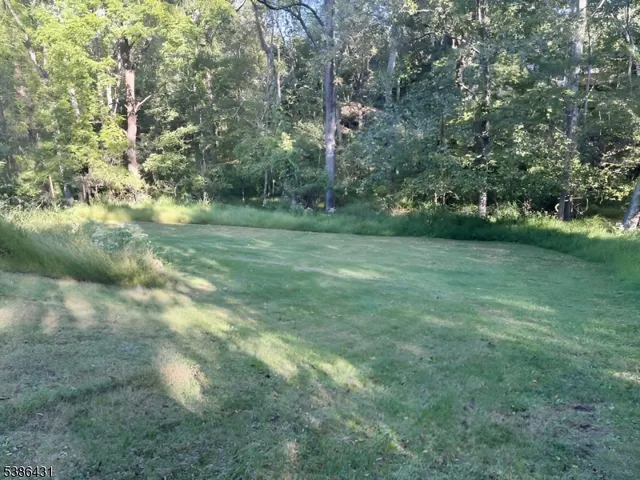 a view of a field with trees in the background