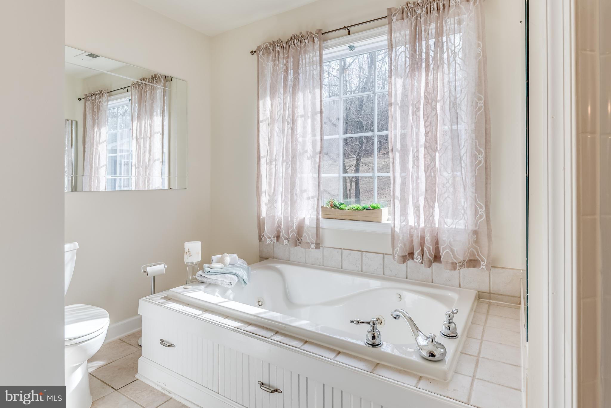2439 Chestnut Grove Road Sharpsburg, MD 21782 - Photo 16 of 51 Master bath soaking tub w whirlpool jets