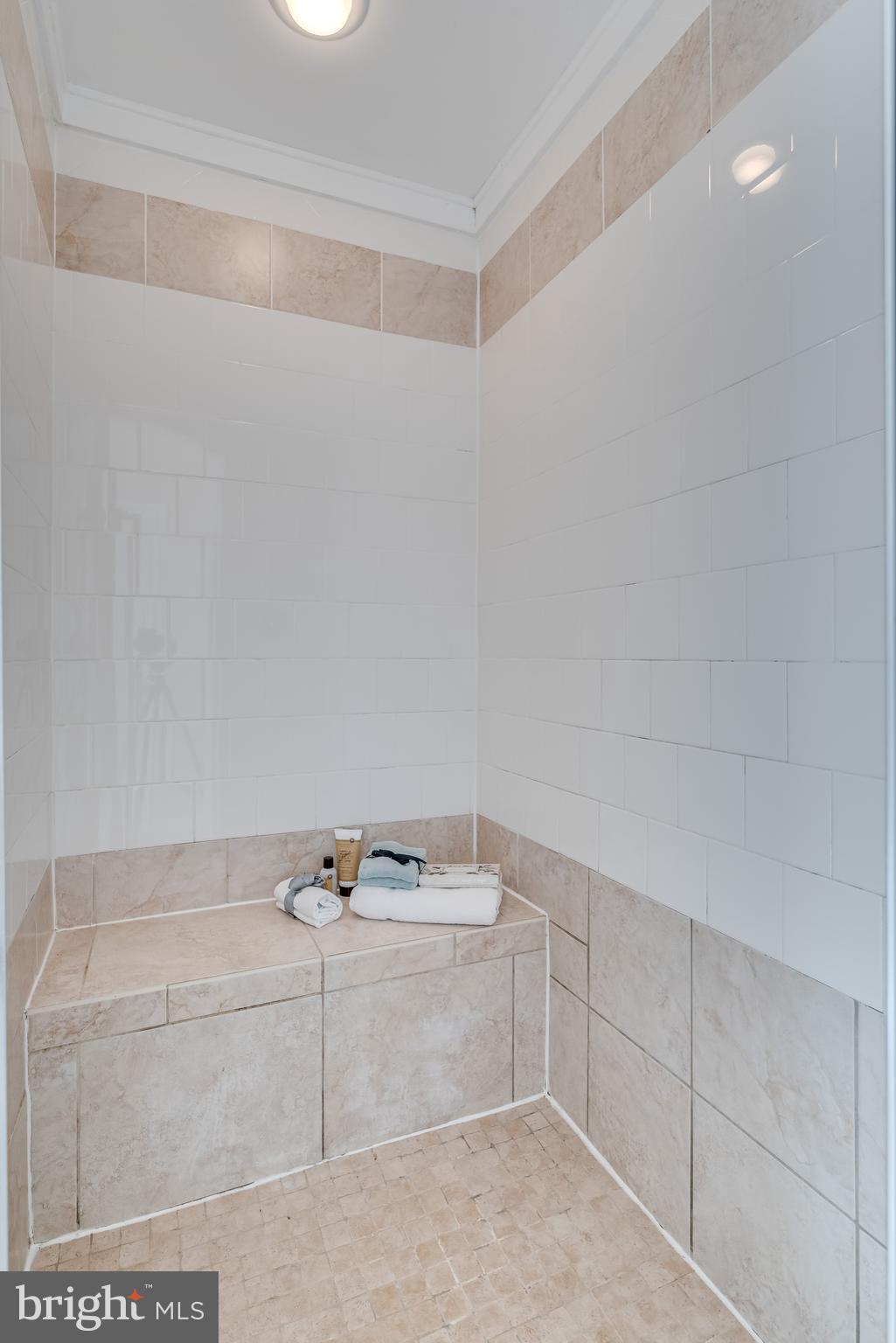 2439 Chestnut Grove Road Sharpsburg, MD 21782 - Photo 17 of 51 Custom tiled separate shower w built in bench