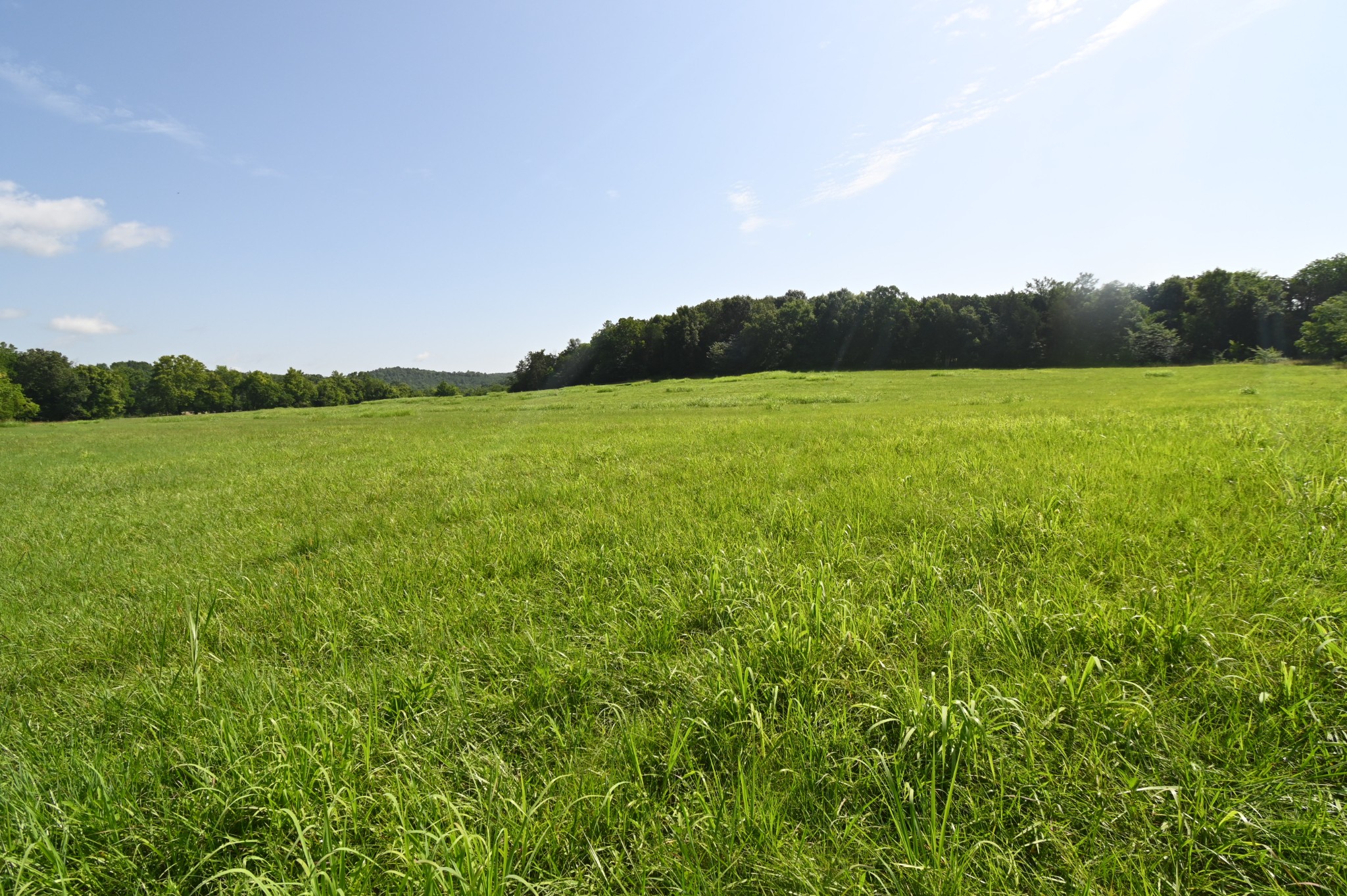 0 Culps Bend Road Clifton, TN 38425 - Photo 32 of 41