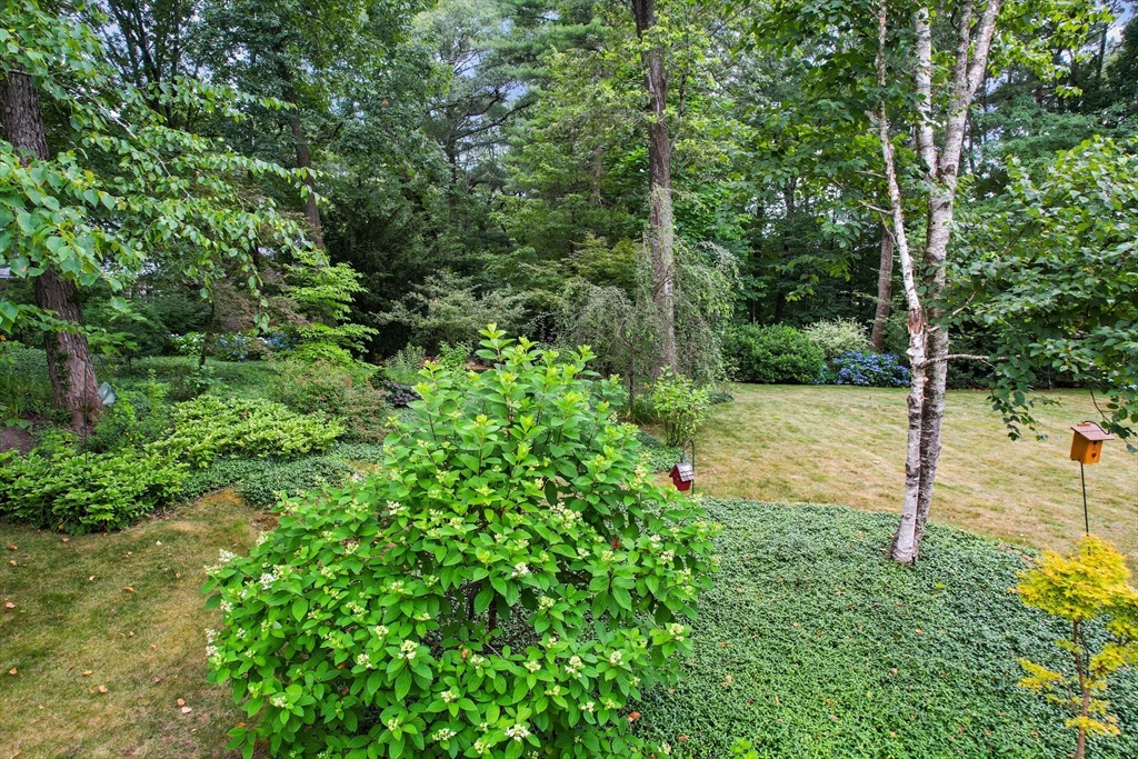 72 Meriam Street Lexington, MA 02420 - Photo 38 of 41 Gallery Image 38