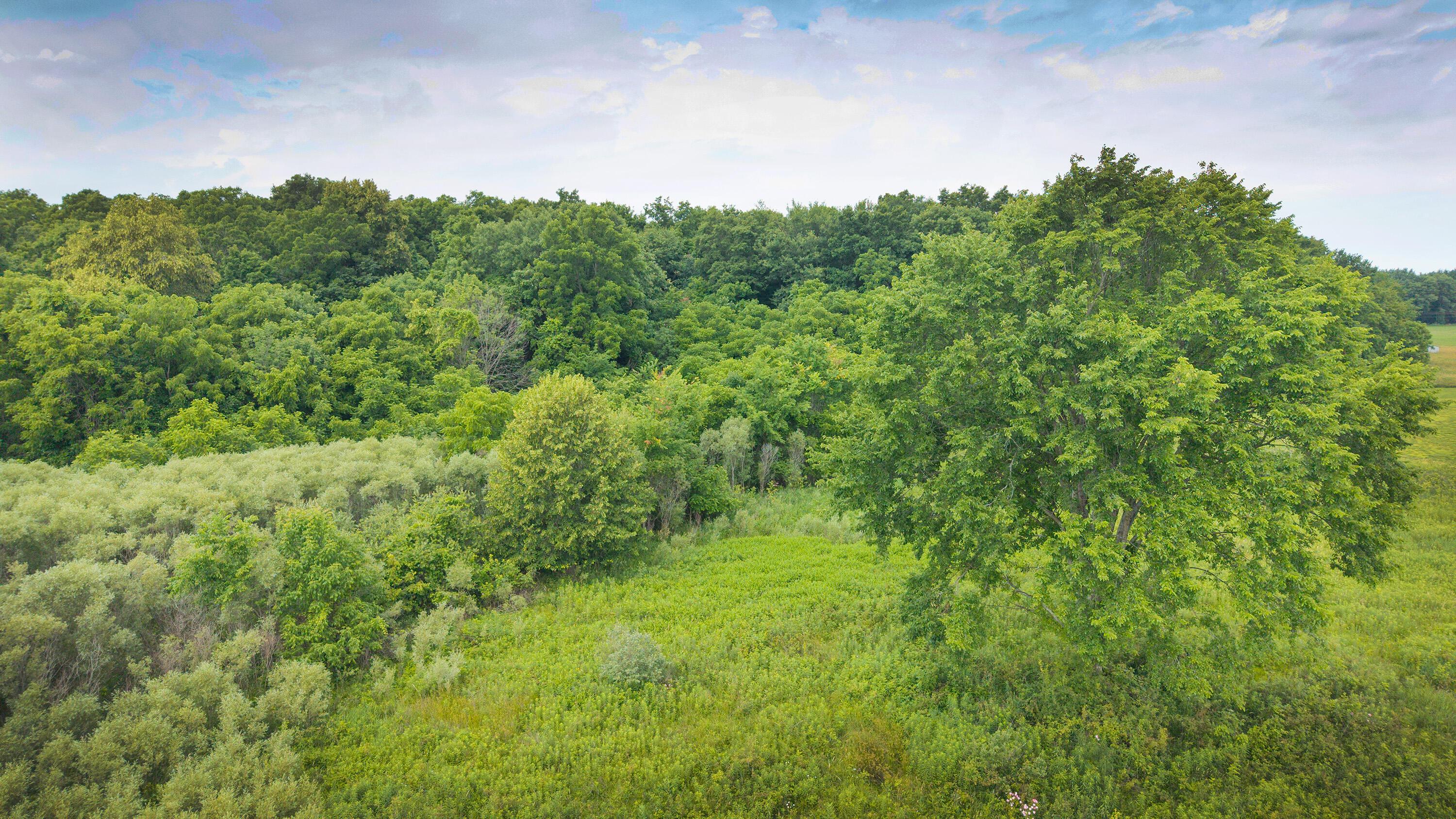 0 Johnstown Road Centerburg, OH 43011 - Photo 16 of 21 JW_16