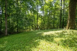 a view of field with trees in the background