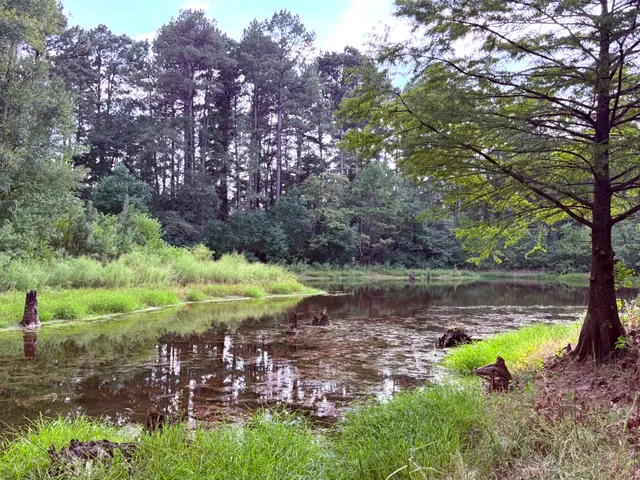 a view of a lake with houses