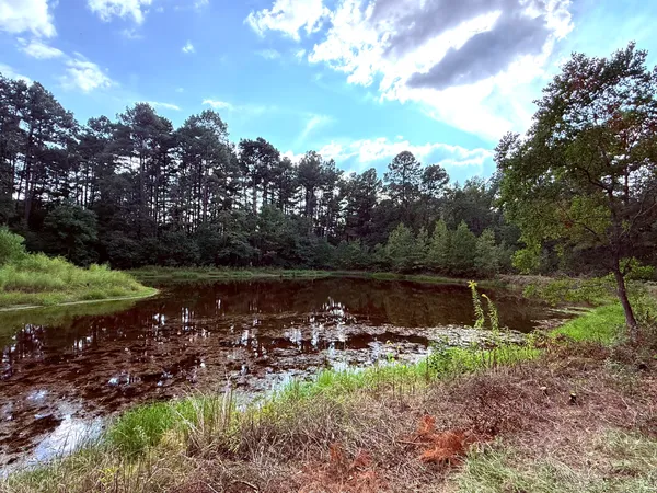 a view of lake with green space