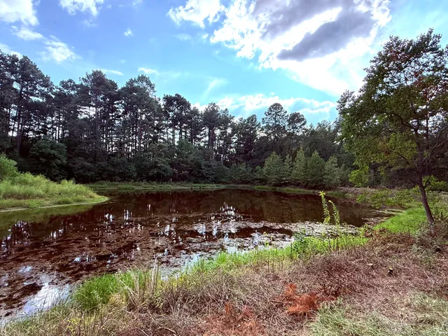a view of lake with green space