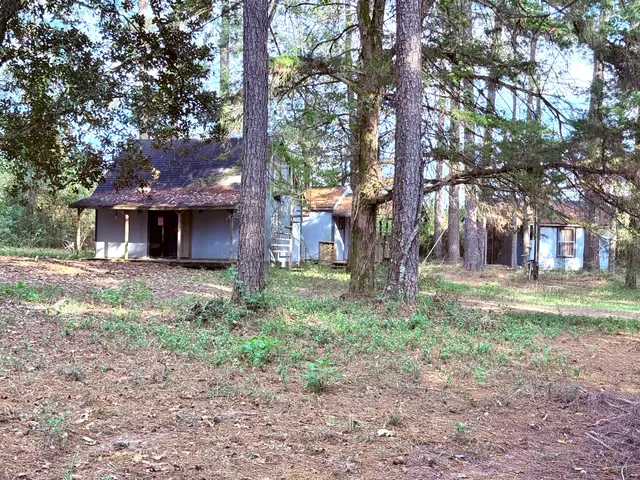 a front view of a house with a tree s