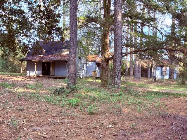 a backyard of a house with lots of trees