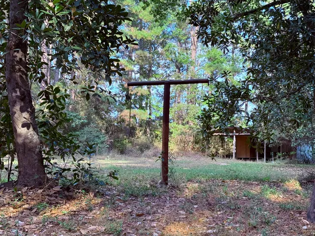 a view of a house with yard and a tree