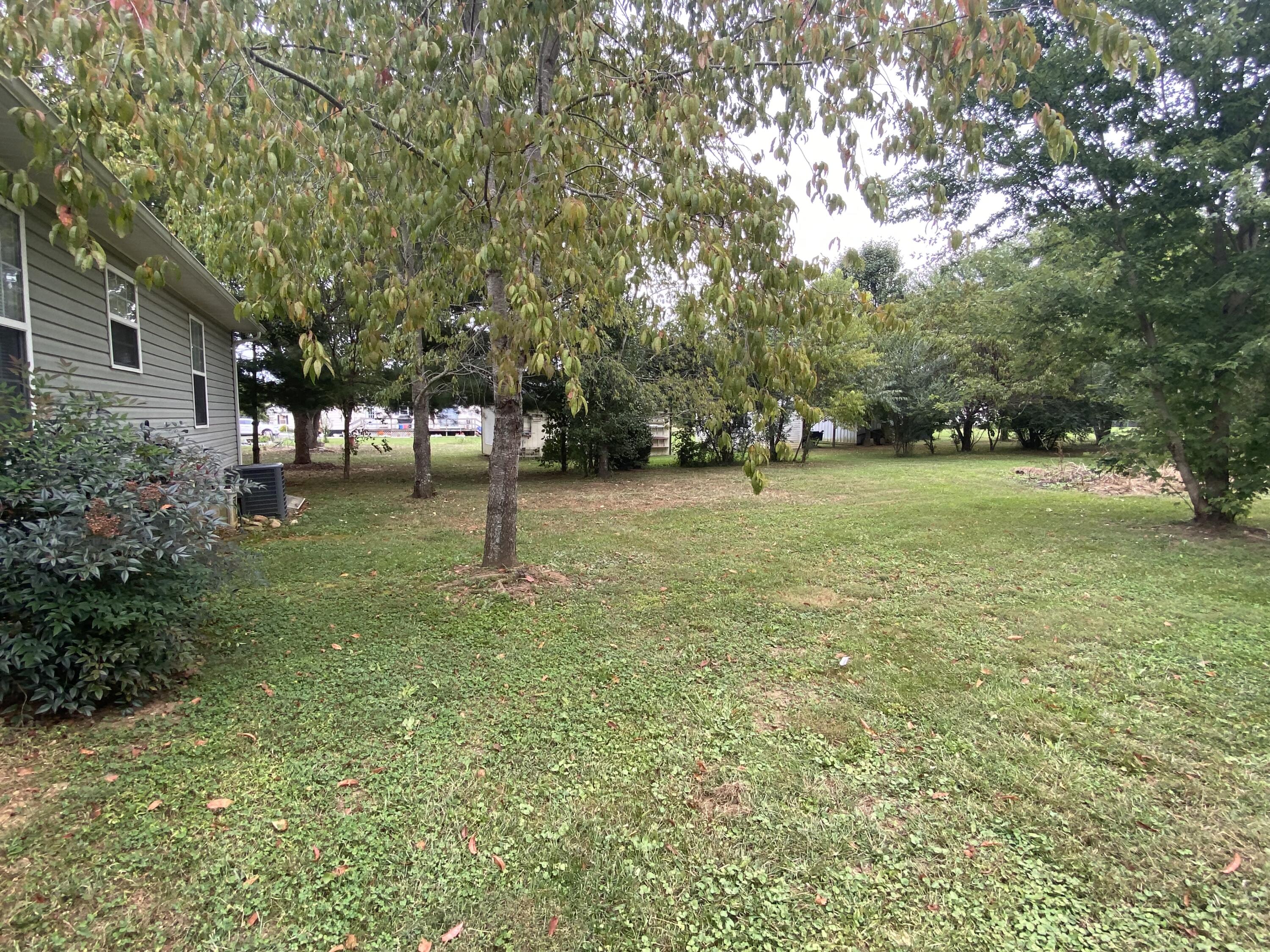 210 Bill Mauk Road Chuckey, TN 37641 - Photo 17 of 31 IMG_7463