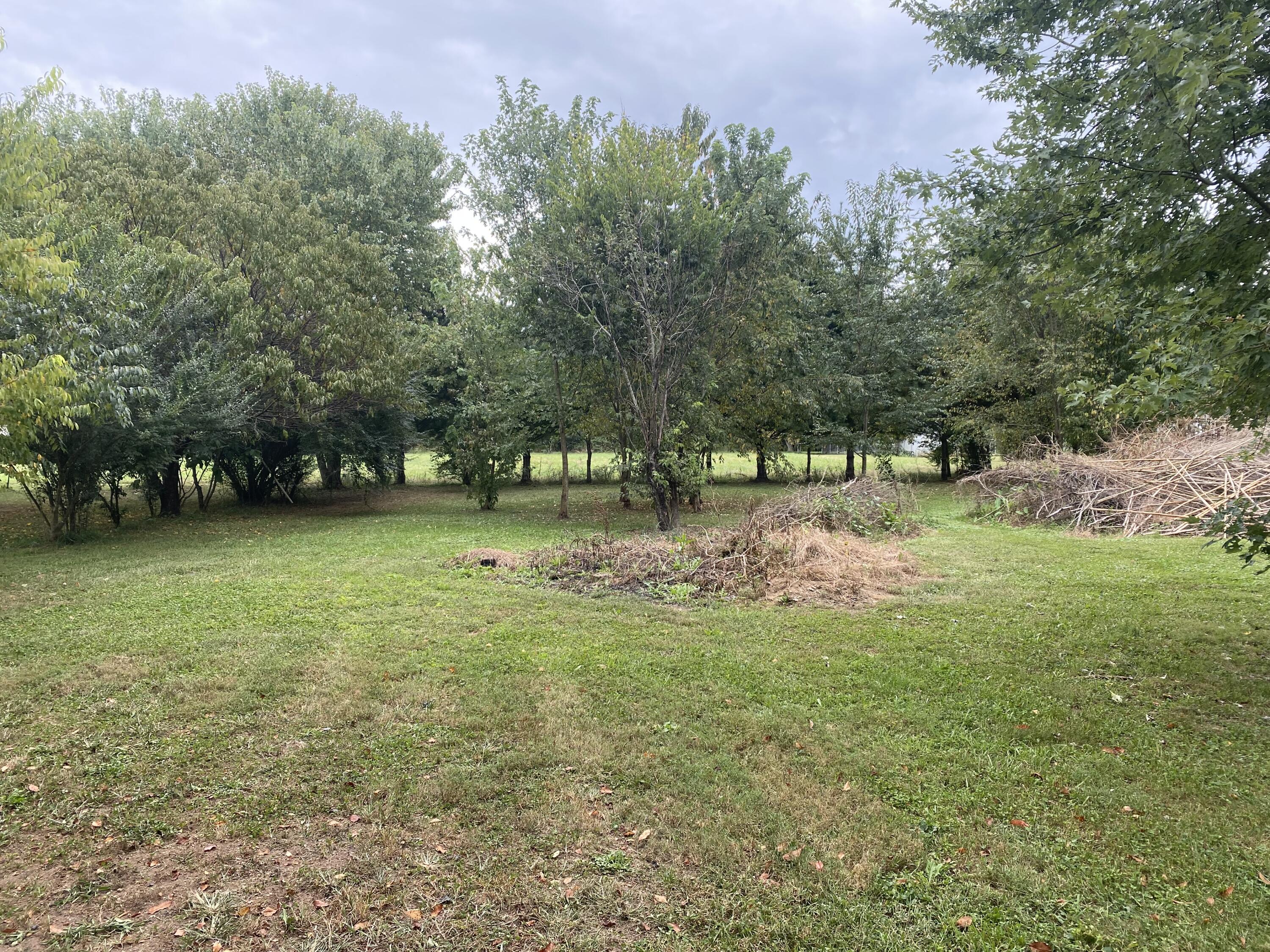 210 Bill Mauk Road Chuckey, TN 37641 - Photo 26 of 31 IMG_7474