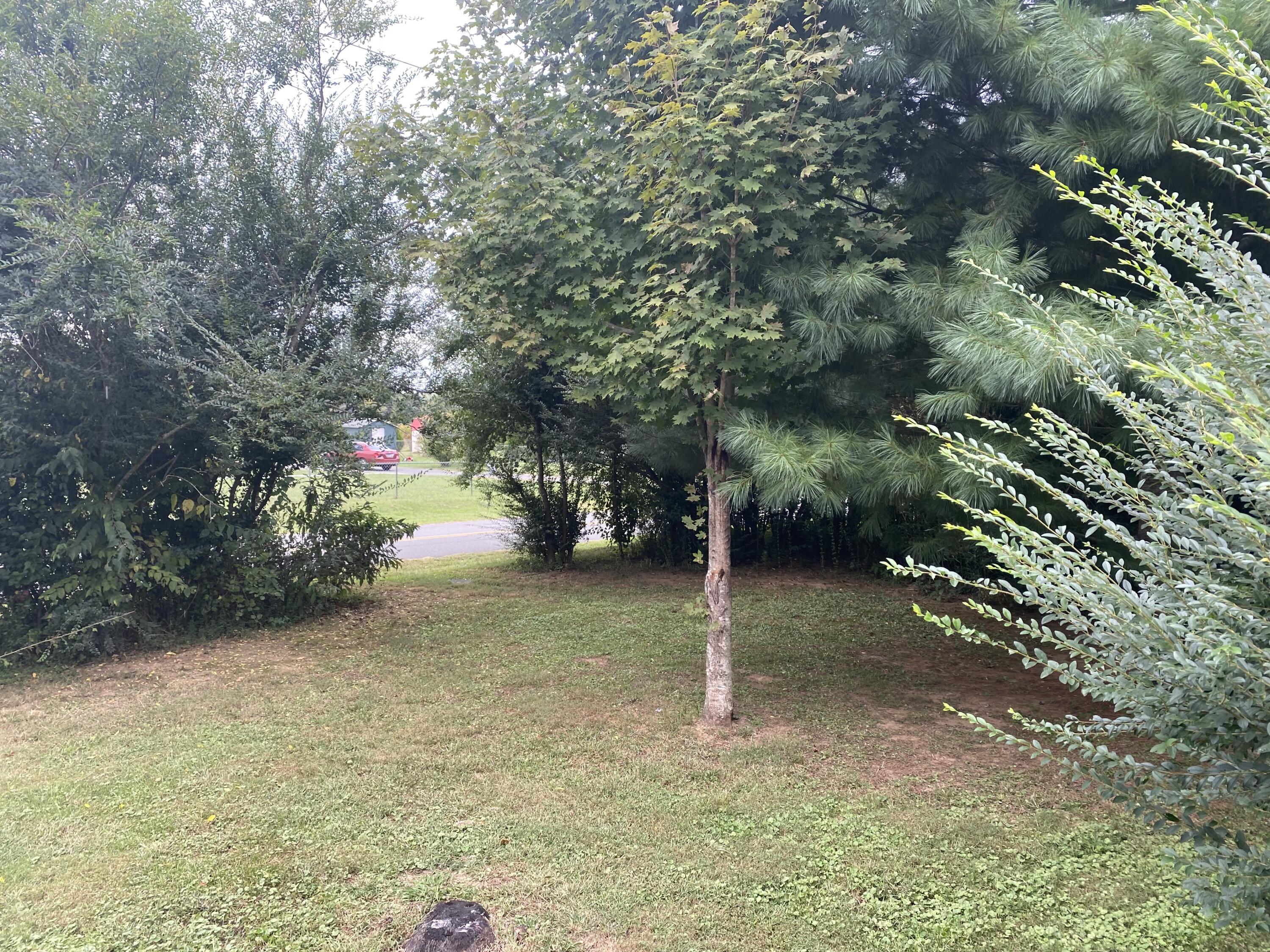 210 Bill Mauk Road Chuckey, TN 37641 - Photo 28 of 31 IMG_7477