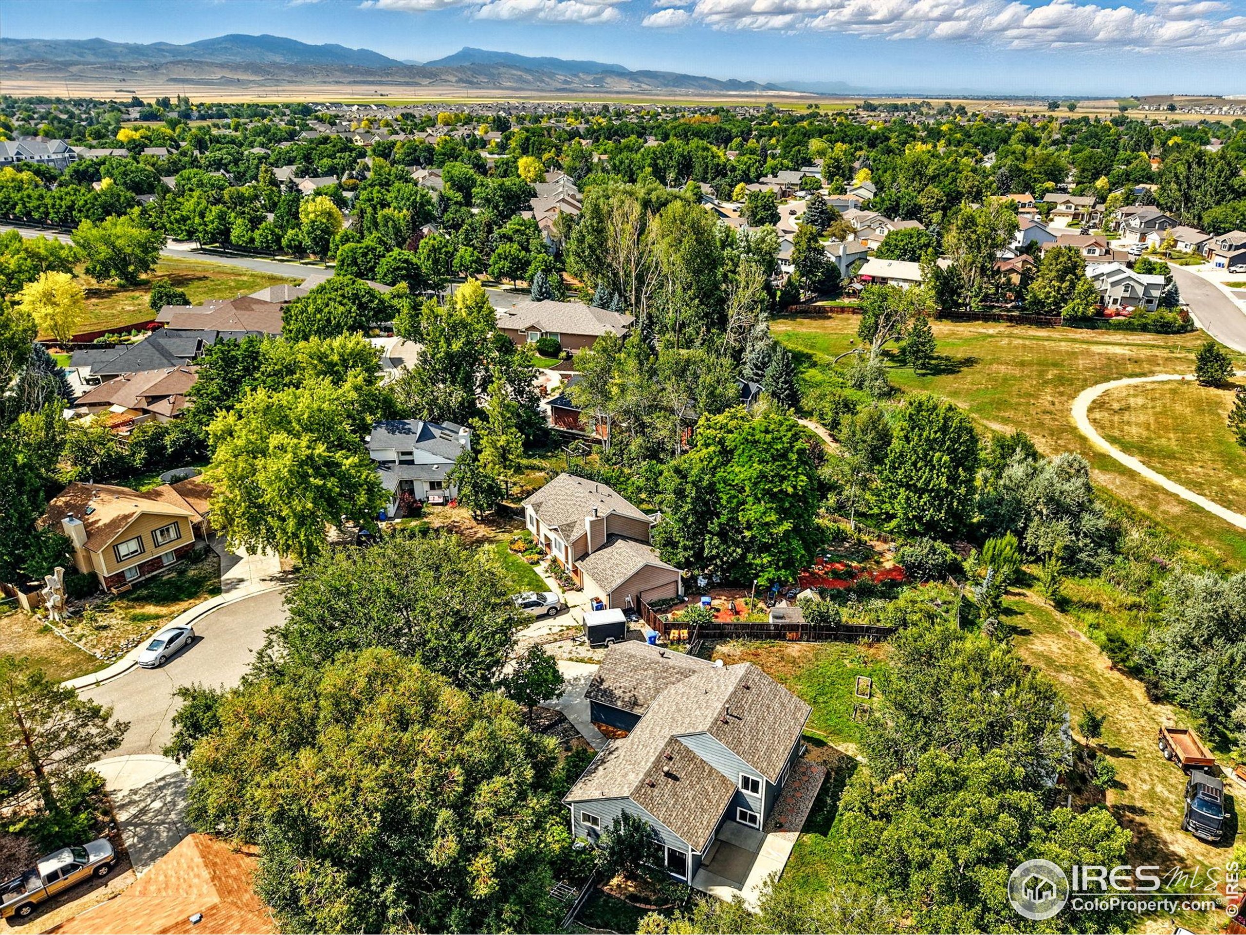 4150 Ebony Court Loveland, CO 80538 - Photo 38 of 41