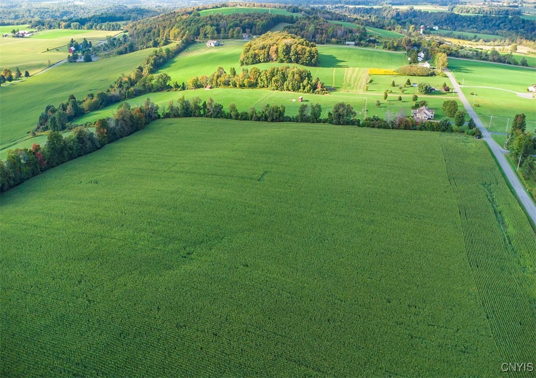 0 Tucker Road New Woodstock, NY 13122 - Photo 5 of 9